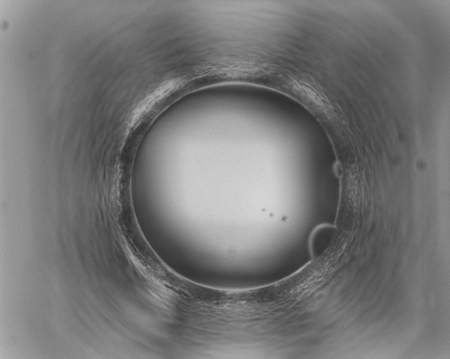 X0000059800730200510211051