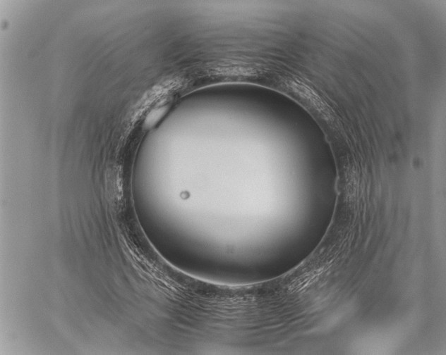 X0000059800731200510211051