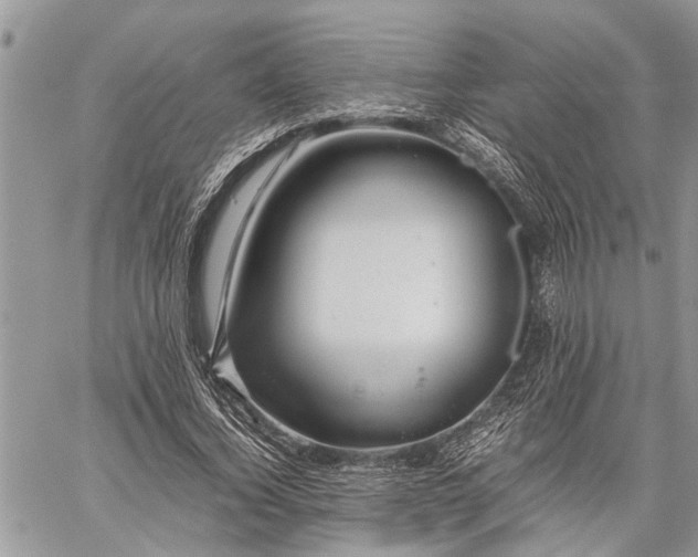 X0000059800732200510211051