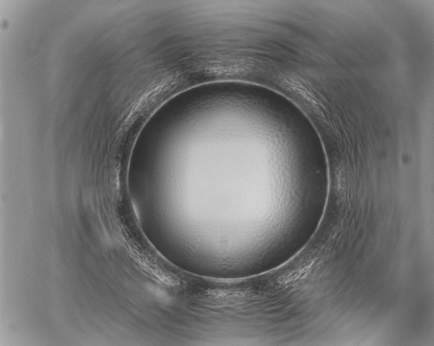 X0000059800733200510211051