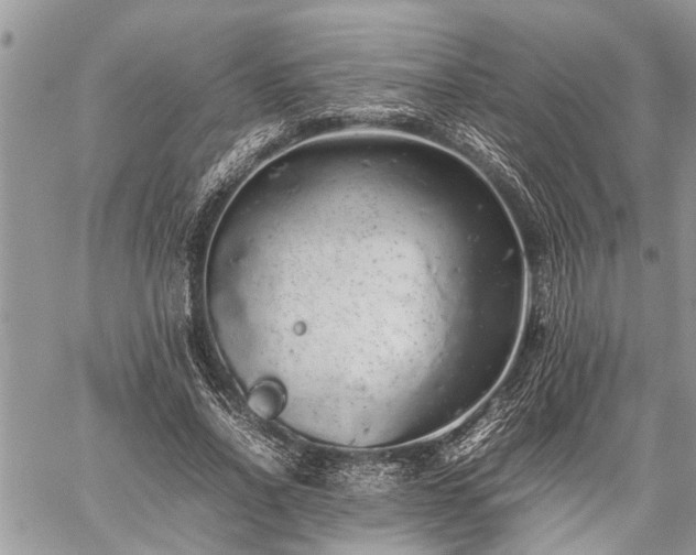 X0000059800734200510211051