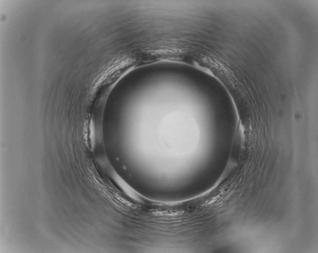 X0000059800735200510211051