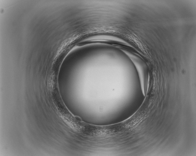 X0000059800736200510211051