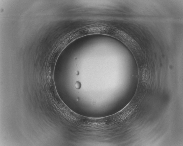 X0000059800737200510211051