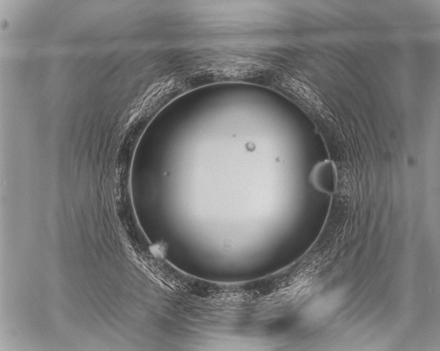 X0000059800738200510211051