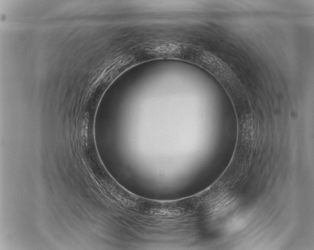 X0000059800739200510211051