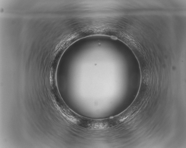 X0000059800740200510211051