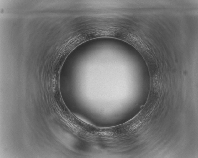 X0000059800741200510211051