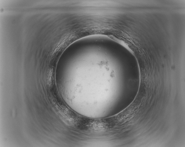 X0000059800742200510211051