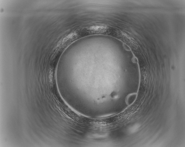 X0000059800745200510211051