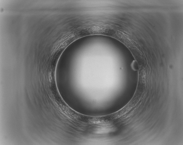 X0000059800746200510211051