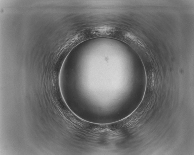 X0000059800747200510211051