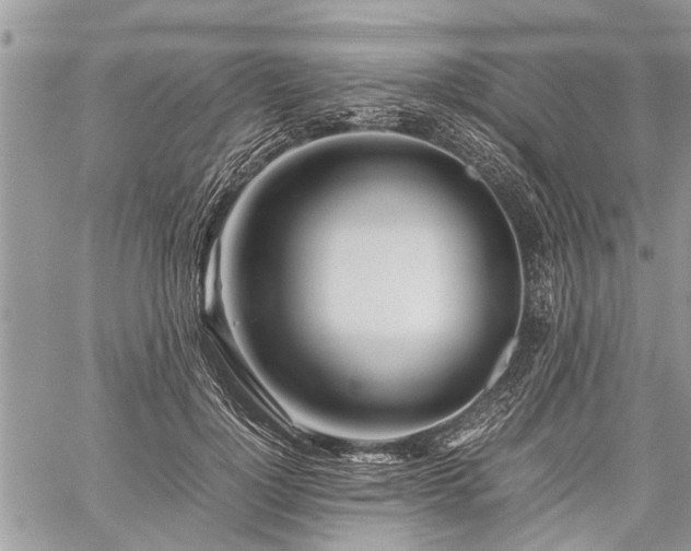 X0000059800748200510211051