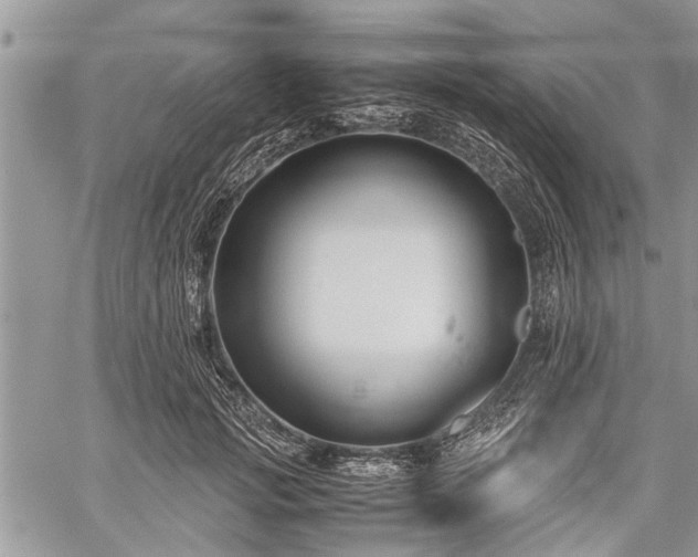 X0000059800749200510211051