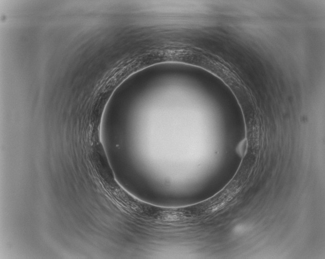 X0000059800750200510211051