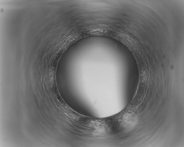 X0000059800753200510211051