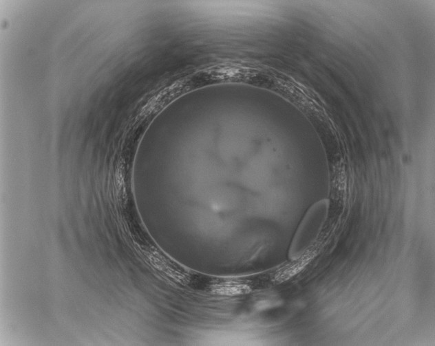 X0000059800754200510211051