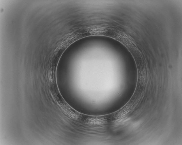 X0000059800755200510211051