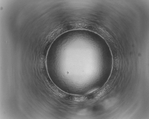 X0000059800757200510211051