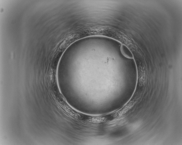 X0000059800758200510211051