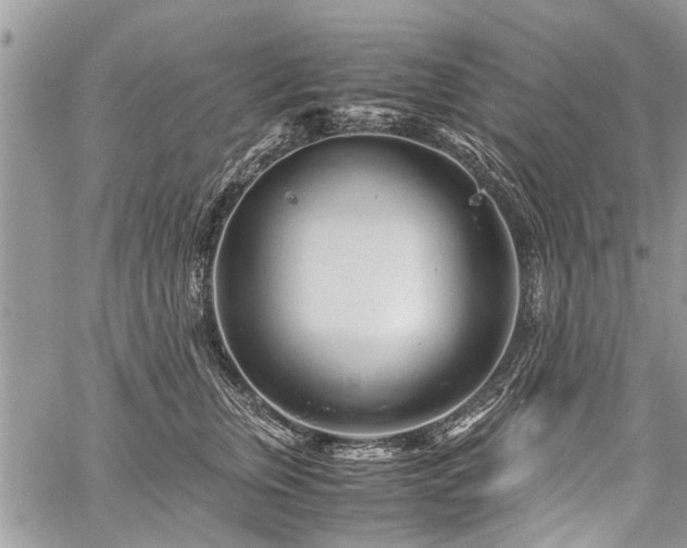 X0000059800759200510211051