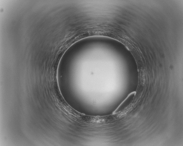 X0000059800760200510211051