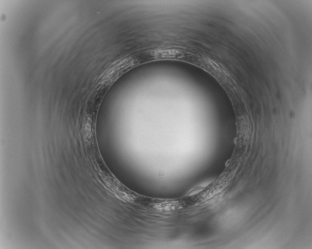 X0000059800761200510211051