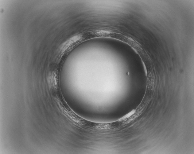 X0000059800762200510211051