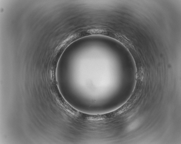 X0000059800763200510211051