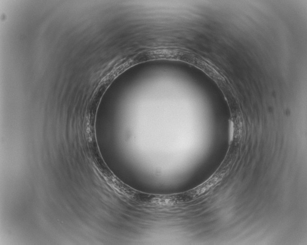 X0000059800764200510211051