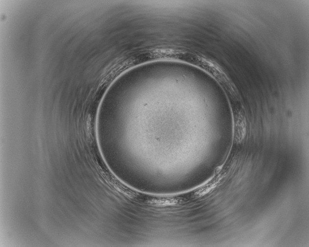 X0000059800765200510211051