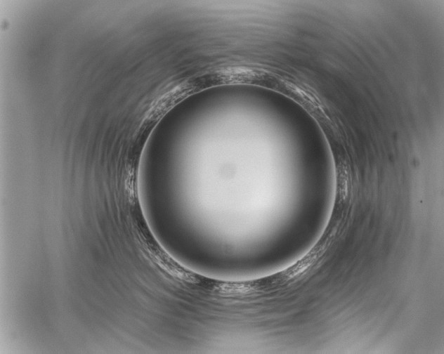 X0000059800766200510211051