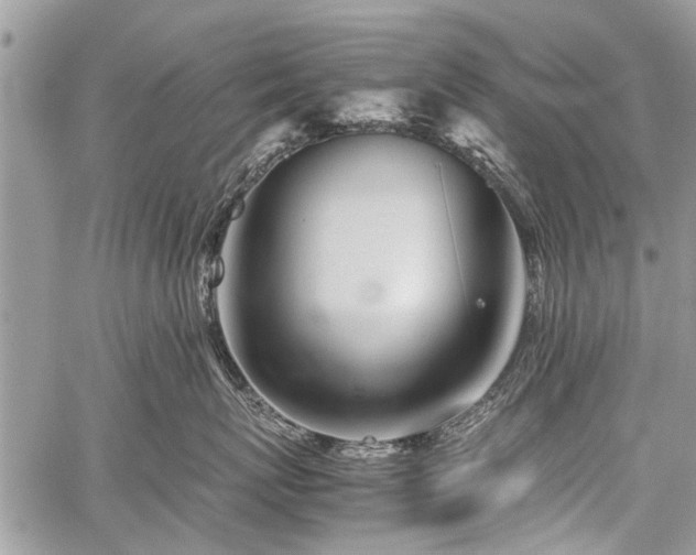 X0000059800767200510211051