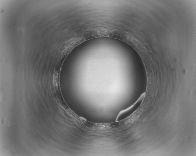 X0000059800768200510211051