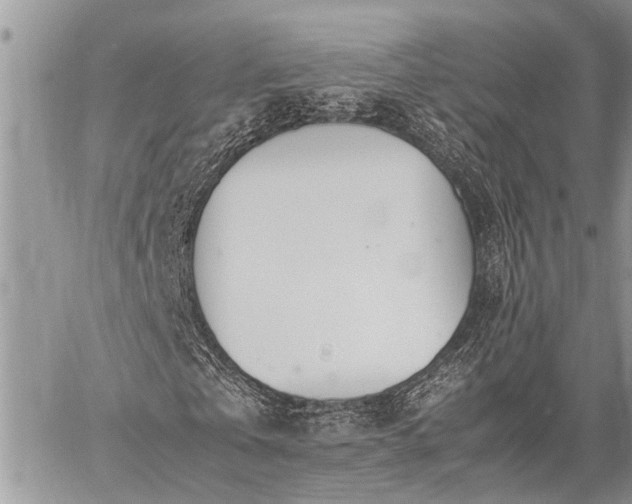 X0000059800769200510211051