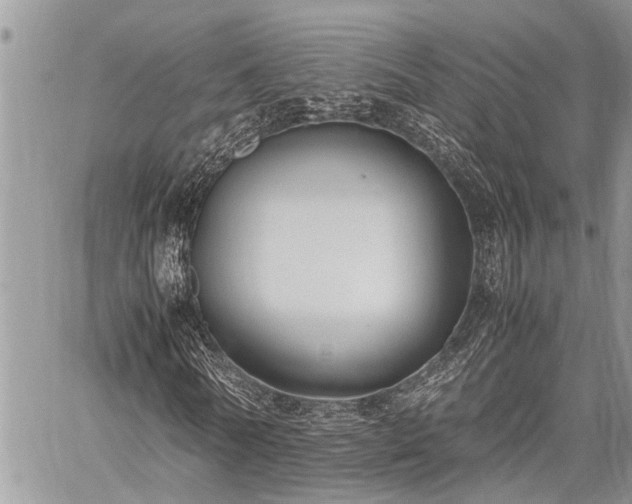 X0000059800770200510211051