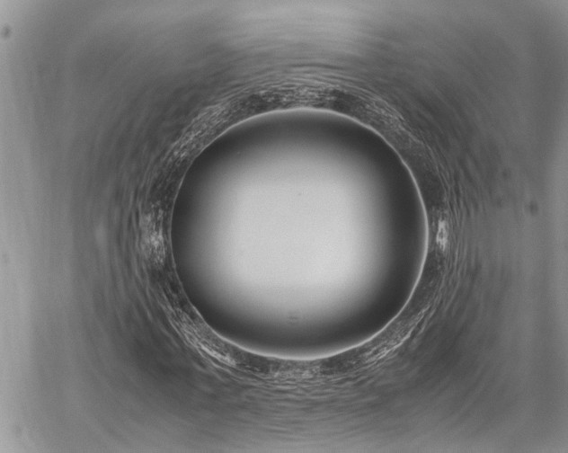 X0000059800771200510211051