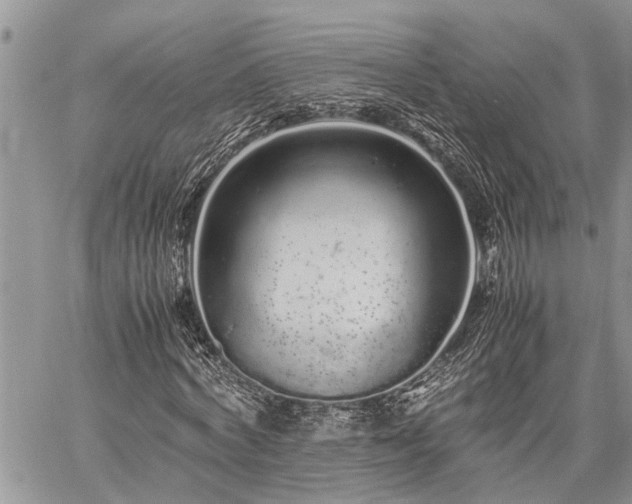 X0000059800772200510211051