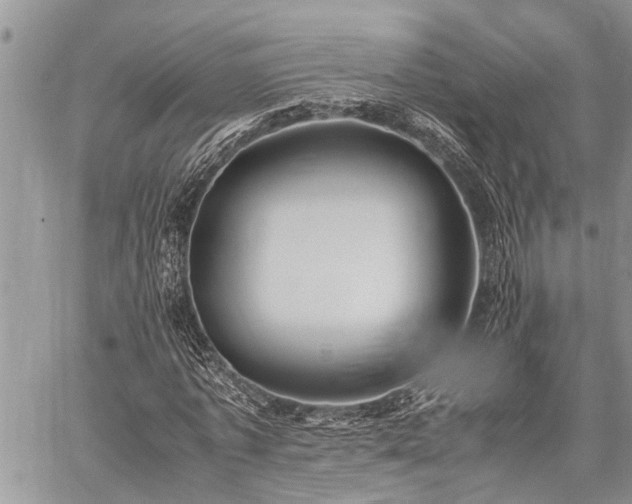 X0000059800773200510211051