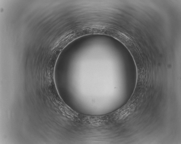 X0000059800774200510211051