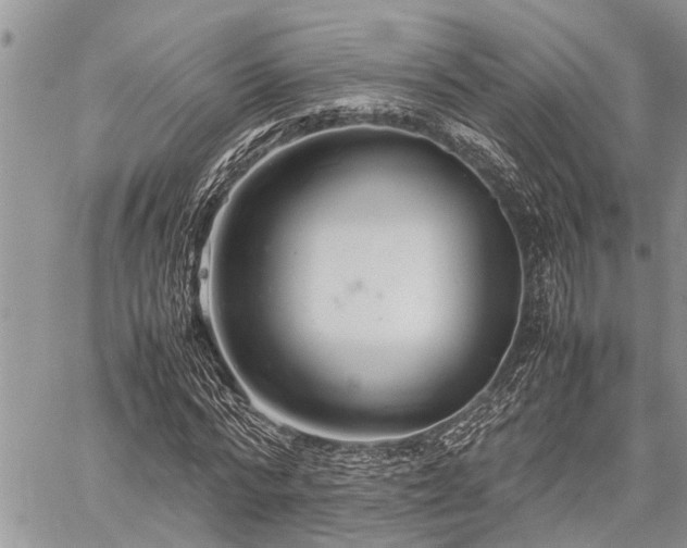 X0000059800776200510211051