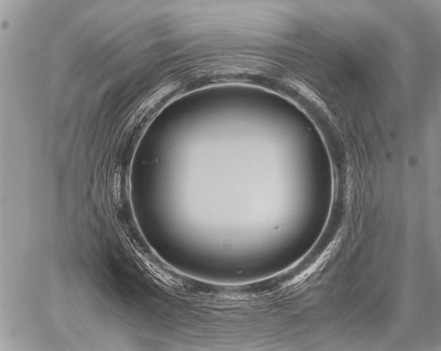 X0000059800777200510211051