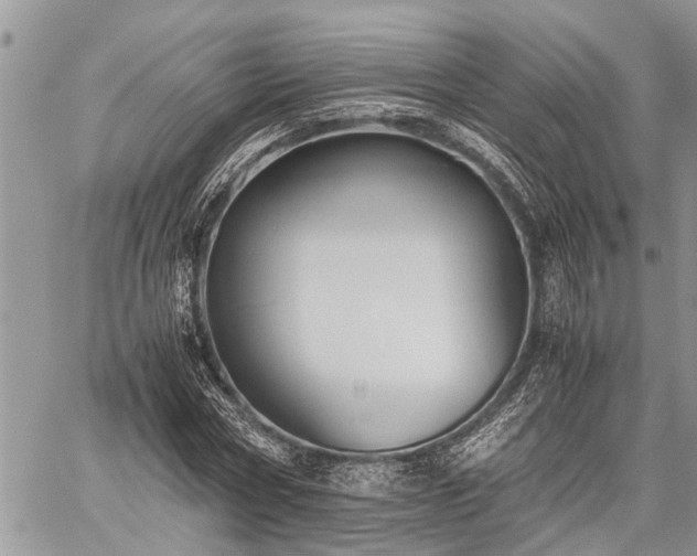 X0000059800778200510211050