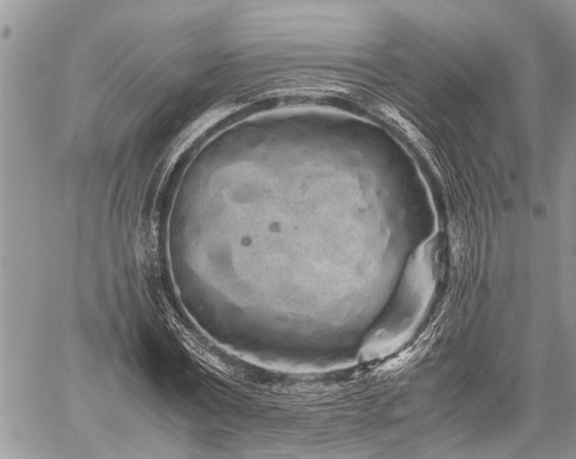 X0000059800779200510211050