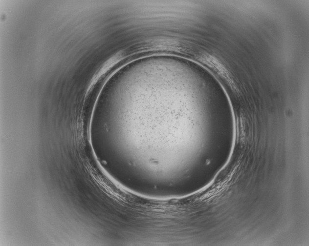 X0000059800780200510211050