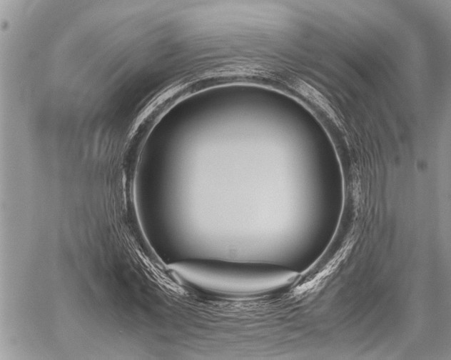 X0000059800781200510211050