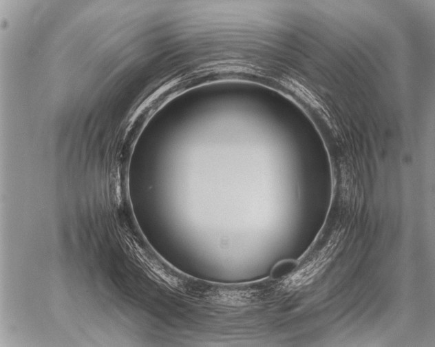 X0000059800782200510211050