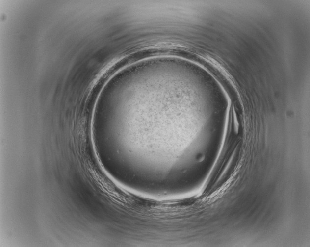 X0000059800783200510211050