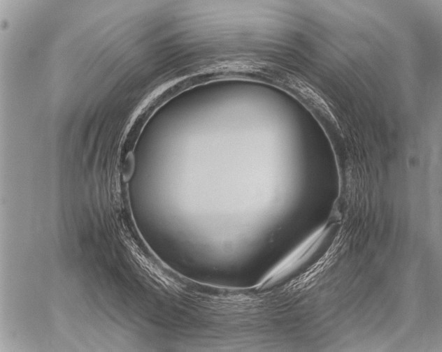 X0000059800784200510211050