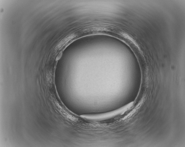 X0000059800785200510211050